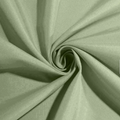 Napkin Sage